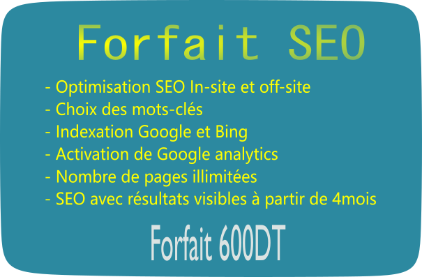 forfait SEO Webshop Tunisie Prix